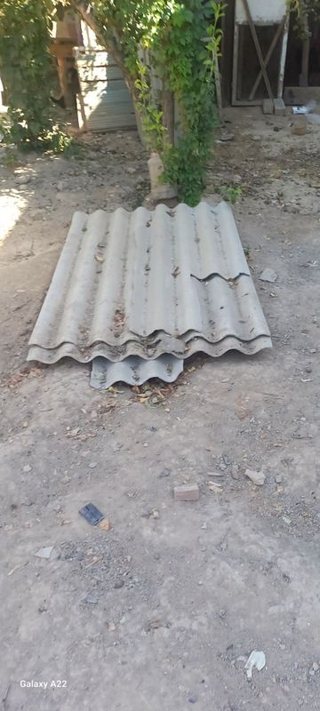 Том учун шипирлар Том учун шипирлар