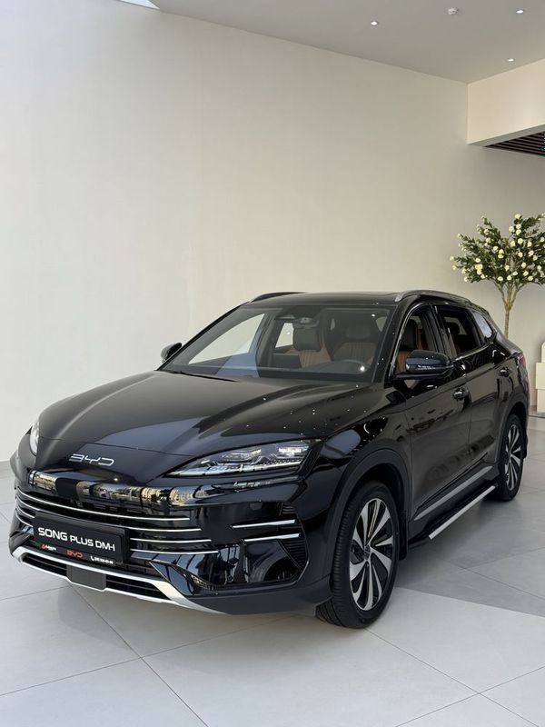 Champion Hybrid 1 позиция Champion Hybrid 1 позиция
