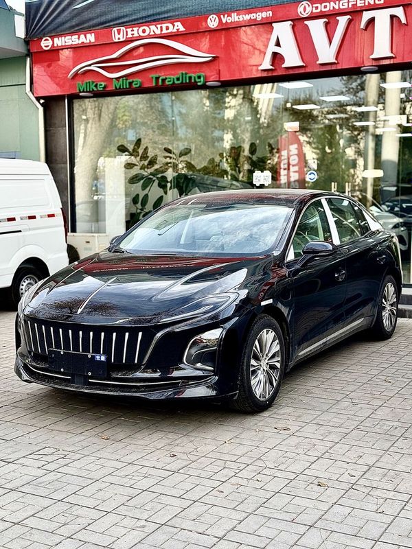 Hongqi 500km full 18500$ Hongqi 500km full 18500$