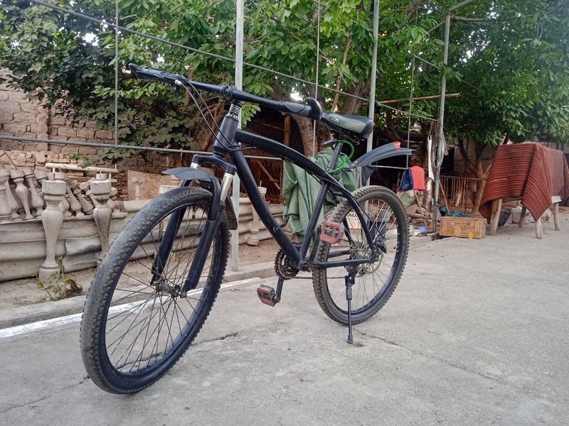 Velosiped skatasnoy Velosiped skatasnoy