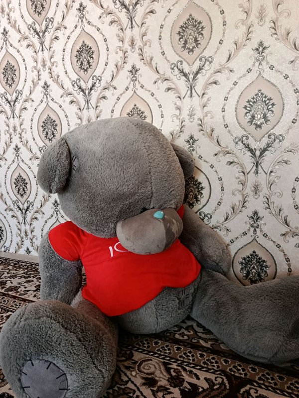Teddy ayiq