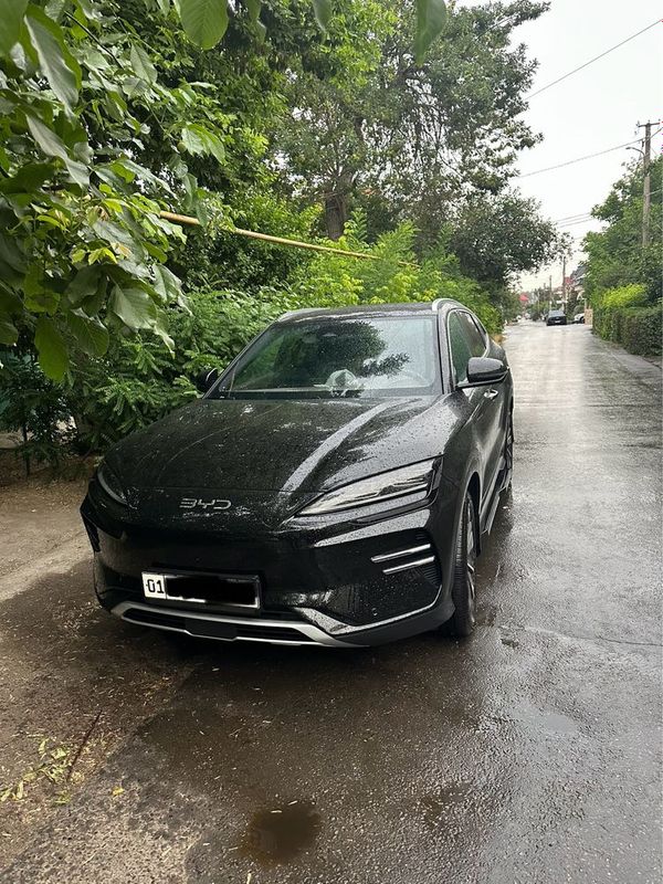 BYD chempion 2024 BYD chempion 2024