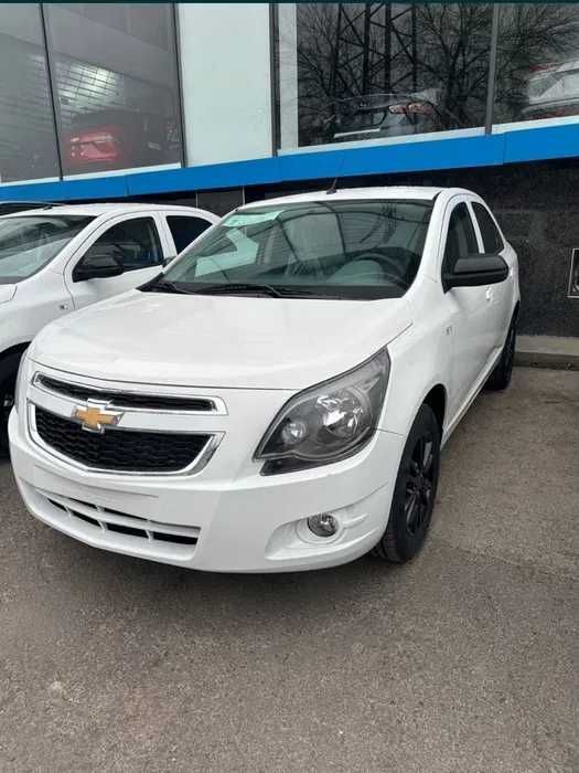 Cobalt Midnight 2025 Cobalt Midnight 2025
