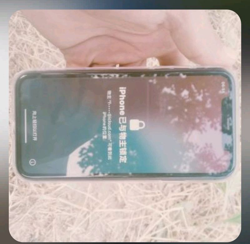 iphone 11 iphone 11