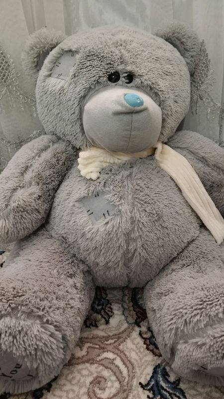 teddy teddy