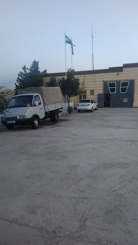 Gazel tentli yili 1998