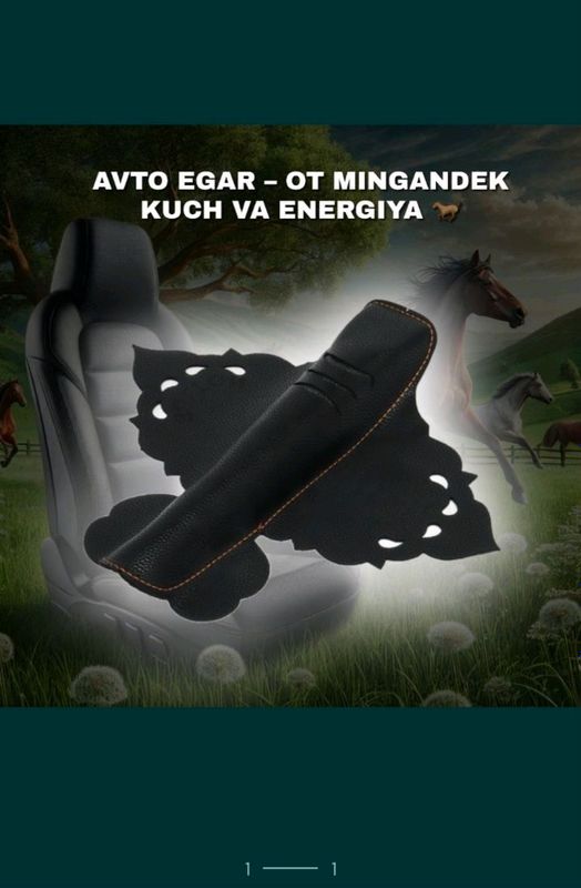 Avtomobil uchun egar — Prostata va Gemarroy muammo