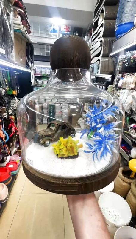 O’zgacha dizanli akvariumlar
