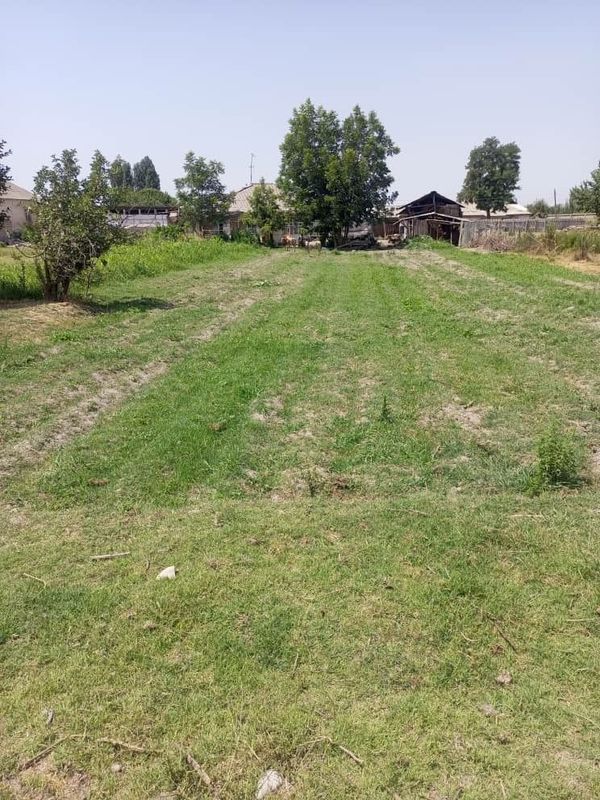 Yer uchaska sotiladi 6 sotix Yer uchaska sotiladi 6 sotix