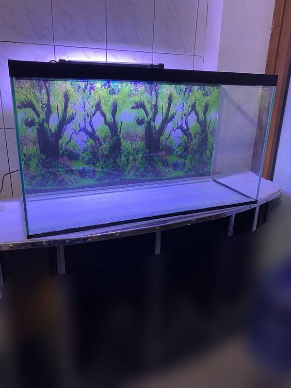 arzon akvarium laminat 3d fon 108.litr arzon akvarium laminat 3d fon 108.litr