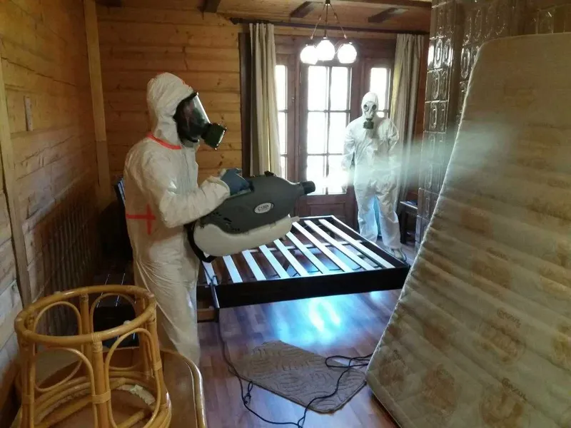 Dezinfeksiya pasha chivin tarakan chayon ilon дезинфекция клопов мух Dezinfeksiya pasha chivin tarakan chayon ilon дезинфекция клопов мух