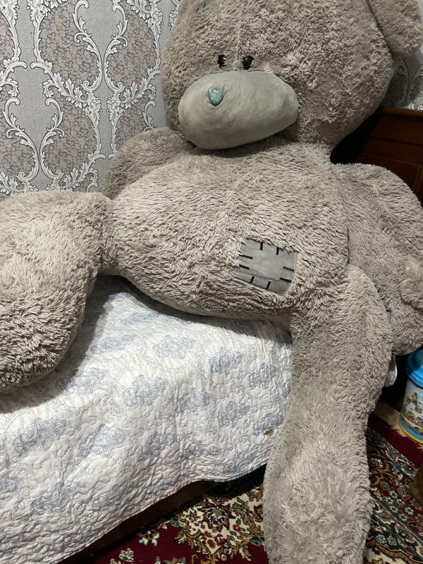 Teddy ayigʻi eng kattasi Teddy ayigʻi eng kattasi