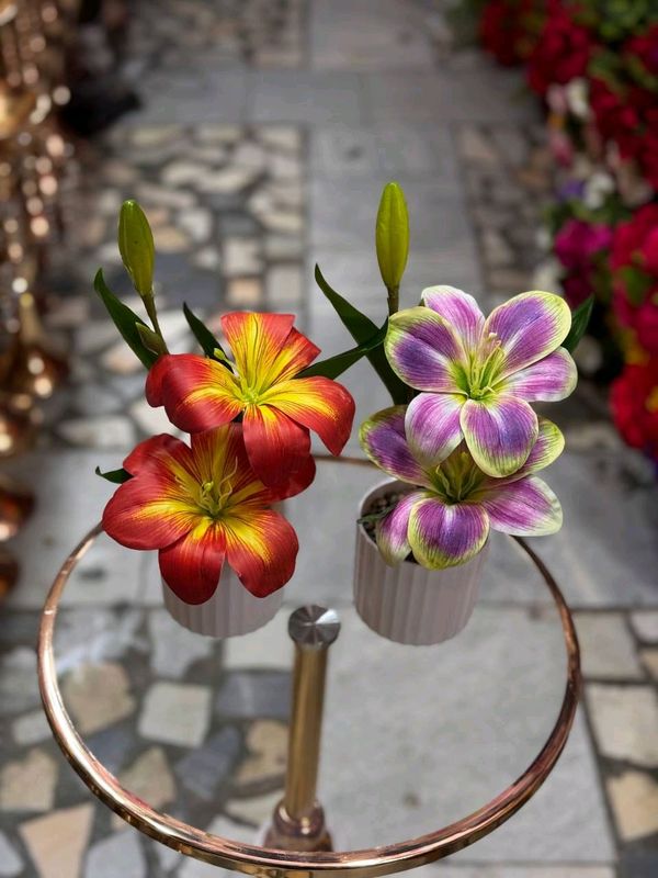 Flowers