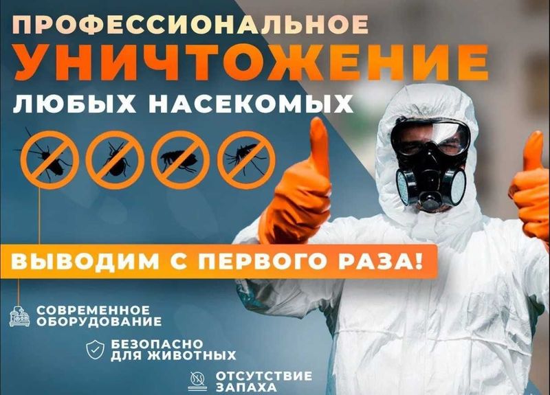 Dezinfeksiya Дезинфекция Тараканов Клещи Блохи Клопы Запах туман Dezinfeksiya Дезинфекция Тараканов Клещи Блохи Клопы Запах туман