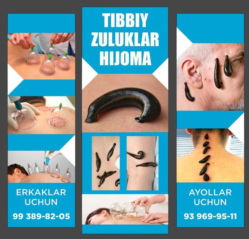 зулук, шулук,suluk, пиявки зулук, шулук,suluk, пиявки