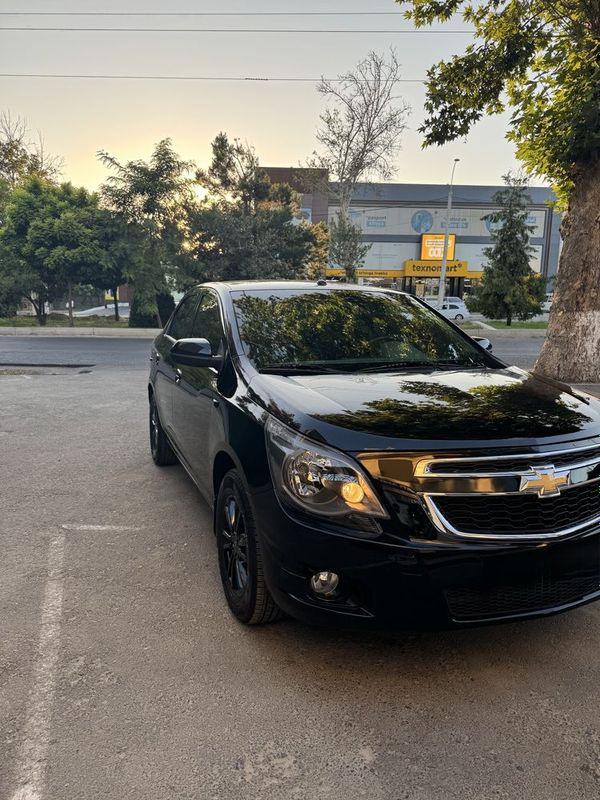 Cobalt midnight qora 2025 Cobalt midnight qora 2025