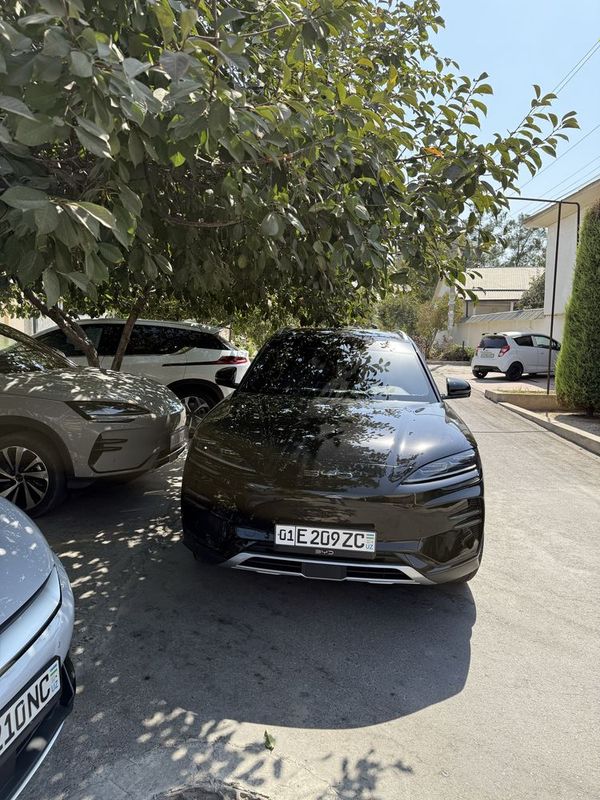 Byd Champion 2024 qora 605 tali full Byd Champion 2024 qora 605 tali full
