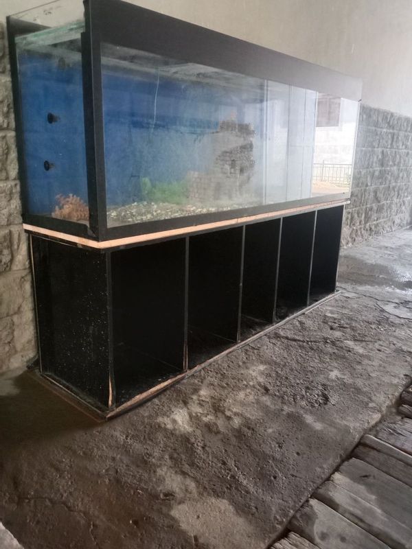 Akvarum 500 L aybi baligʻ yoʻqligi boshqa aybi yogʻ xamma narsasi bor Akvarum 500 L aybi baligʻ yoʻqligi boshqa aybi yogʻ xamma narsasi bor