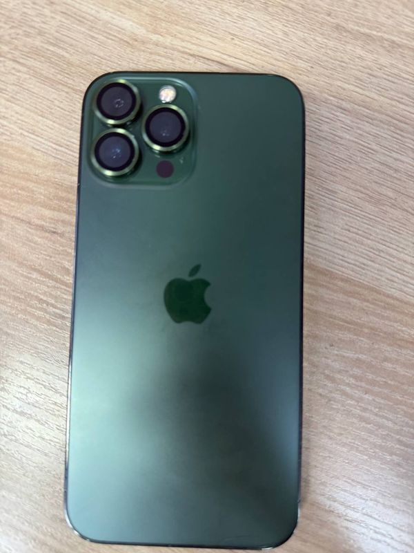 13 pro max