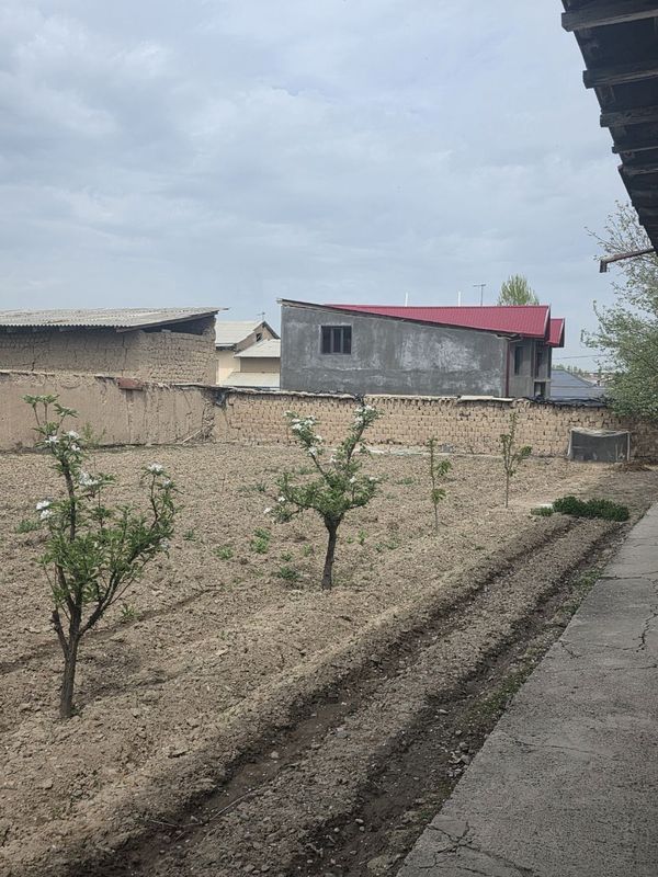 Кибрай тумани маданят махаласи Кибрай тумани маданят махаласи