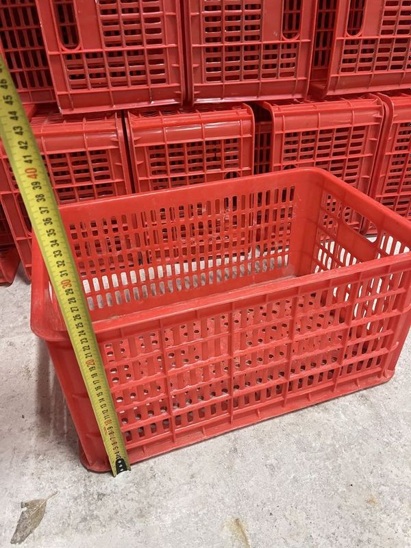 Plasmasa yashuk sotiladi 17000 sum Plasmasa yashuk sotiladi 17000 sum