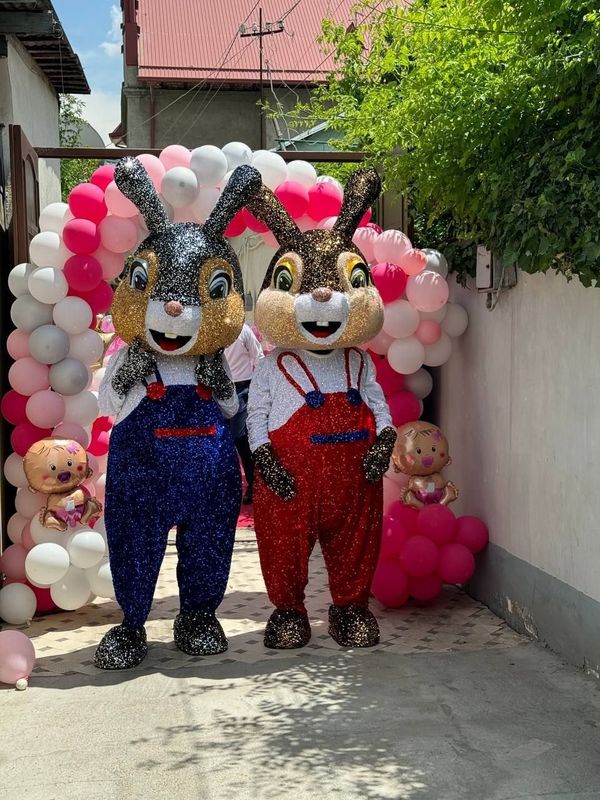 Ayiqlar hizmati Foto video afarmleniya