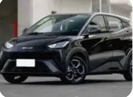 Срочно продам seagull 2023