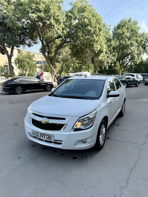 Arenda Cobalt 4 poz