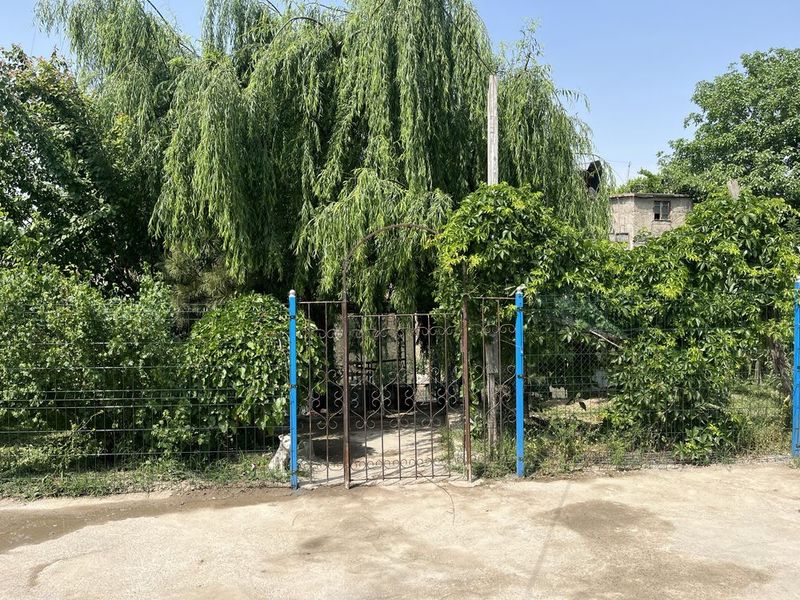 Одых на природе возле речки Чирчик Одых на природе возле речки Чирчик