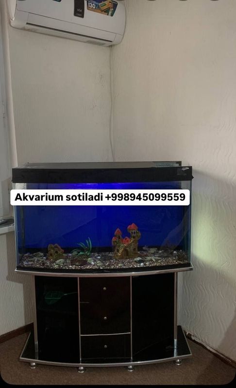 Srochni sotiladi!!! Akvarium 200Litr komplekt sotiladi