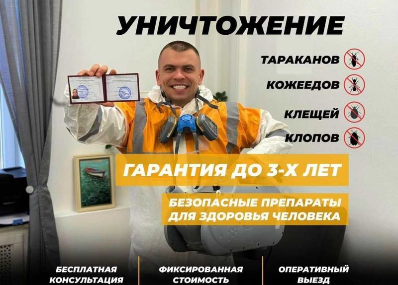 Дезинфекция насекомых клоп klop klapa Dezinfeksiya dezenfeksiya запах Дезинфекция насекомых клоп klop klapa Dezinfeksiya dezenfeksiya запах
