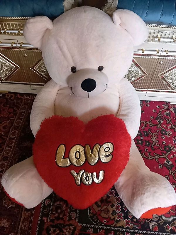 katta ayiq
