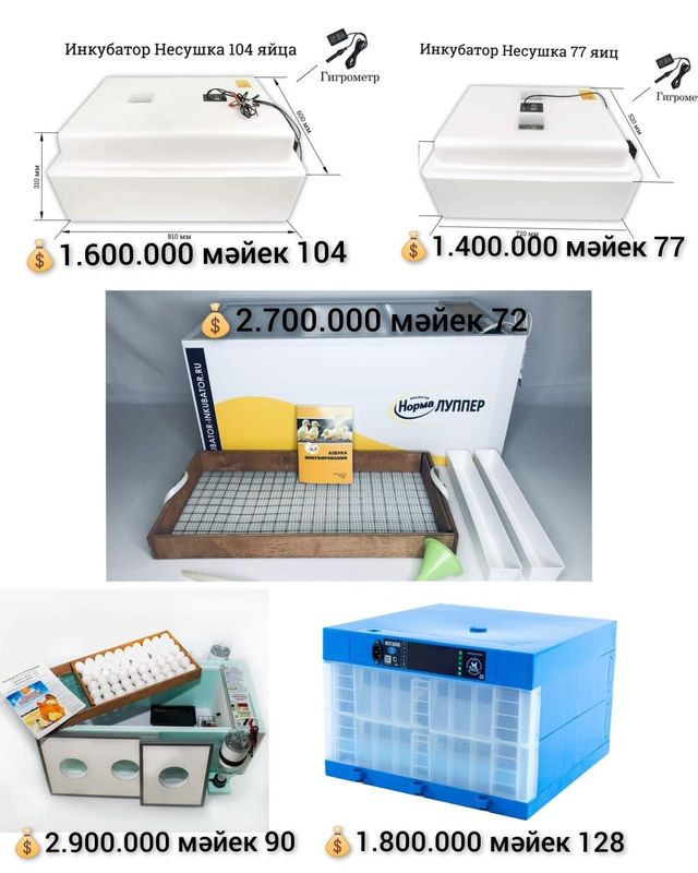 Инкубаторлар сатылады