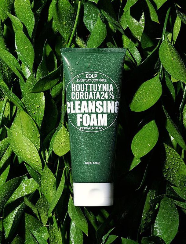 DERMA FACTORY Houttuynia Cordata 24% Cleansing Foam DERMA FACTORY Houttuynia Cordata 24% Cleansing Foam
