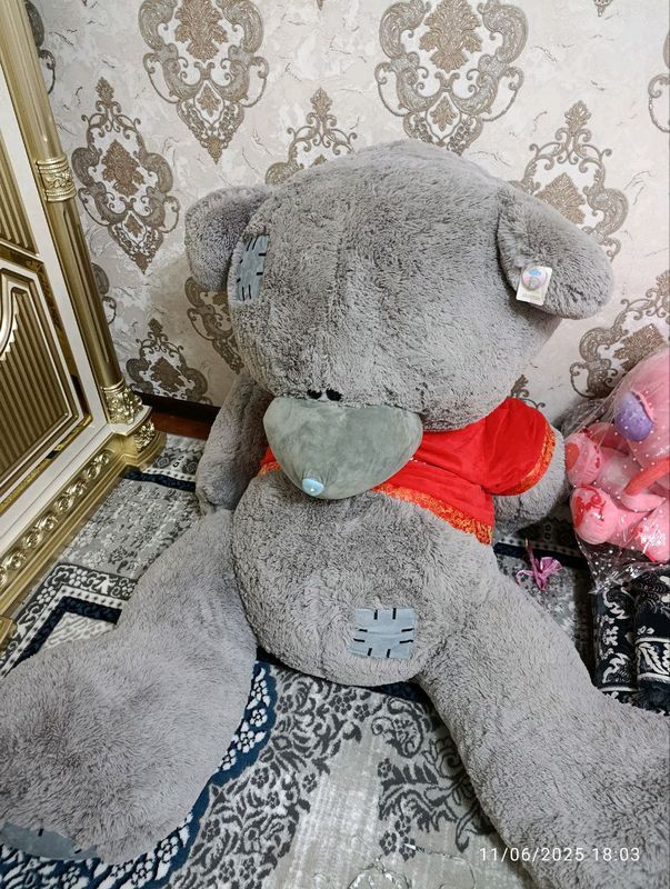 Teddy