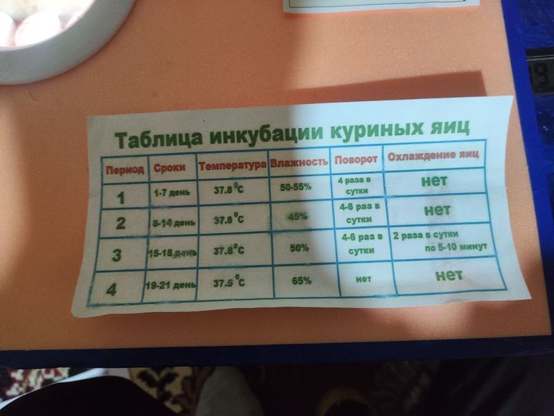 Avtomat inkubator Avtomat inkubator
