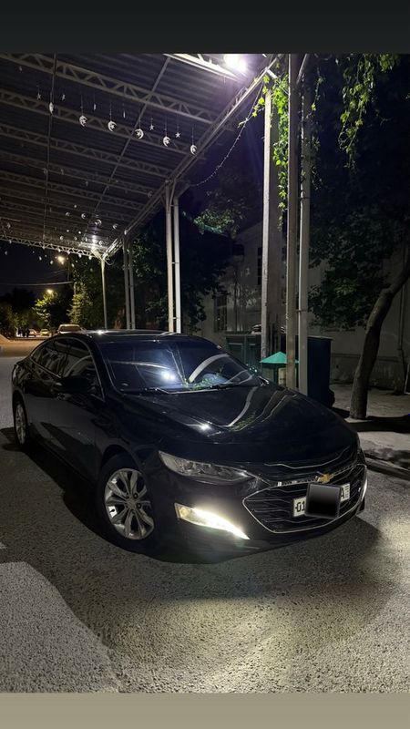 Malibu 2 primer 2021 Malibu 2 primer 2021