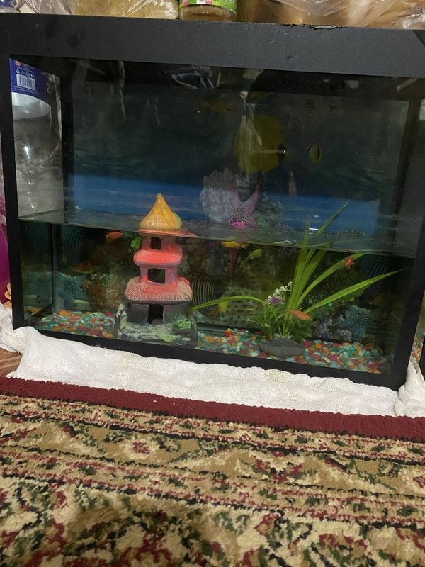 Akvarium sotiladi holati yaxshi Akvarium sotiladi holati yaxshi