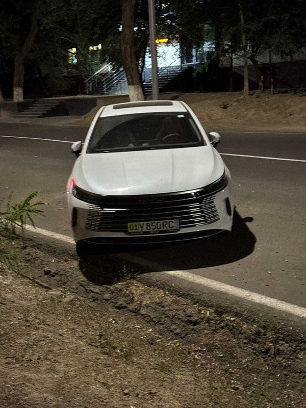 BYD Chazor 2024 год BYD Chazor 2024 год