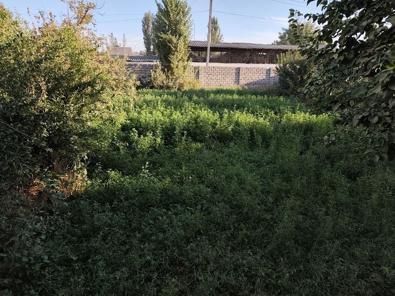 Участка сотилади 4 соток(продам участку 4 соток) Участка сотилади 4 соток(продам участку 4 соток)