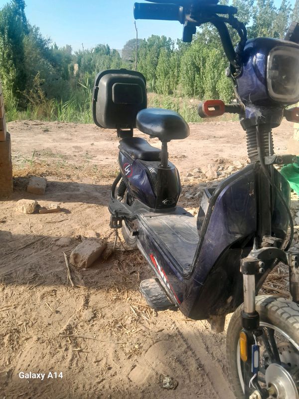 lorgo motars