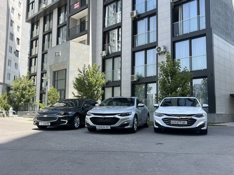 malibu 2 kraska toza malibu 2 kraska toza