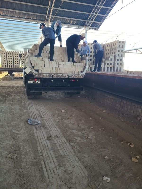 Pishgan va xom gisht bor