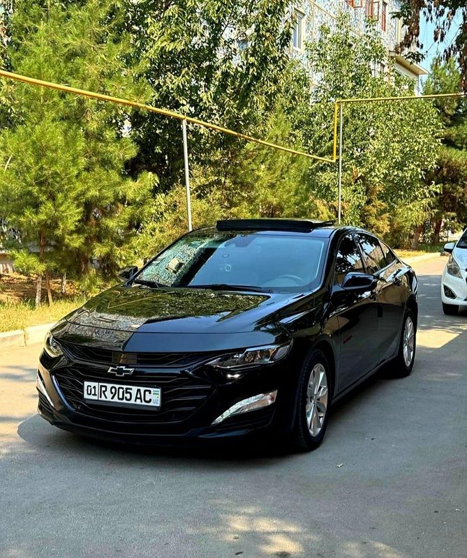 Малибу XL. 2023. Краска тоза.