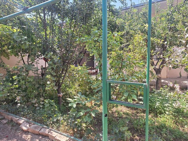 Теплица тулик сотилади ромлари ва эшиклари билан тулик зур холатда Теплица тулик сотилади ромлари ва эшиклари билан тулик зур холатда