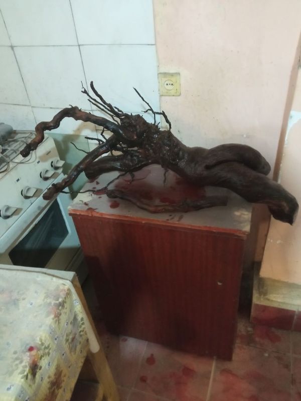 Продаётся коряга Продаётся коряга