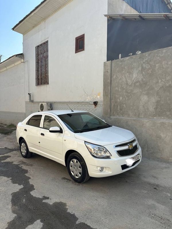 Cobalt 2pazitsa 2019 Cobalt 2pazitsa 2019