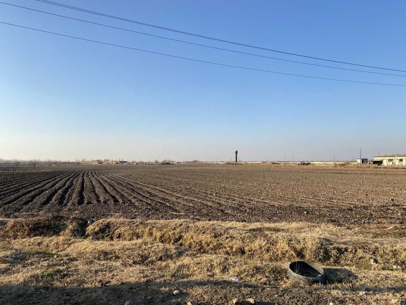 Под любой бизнес производство, логистика и т.д 25 га