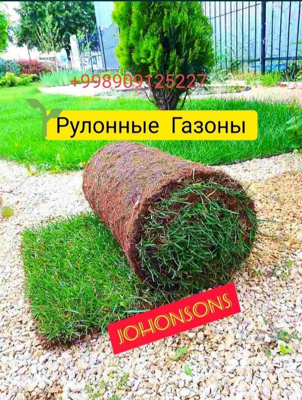 Готовый рулонный газон.