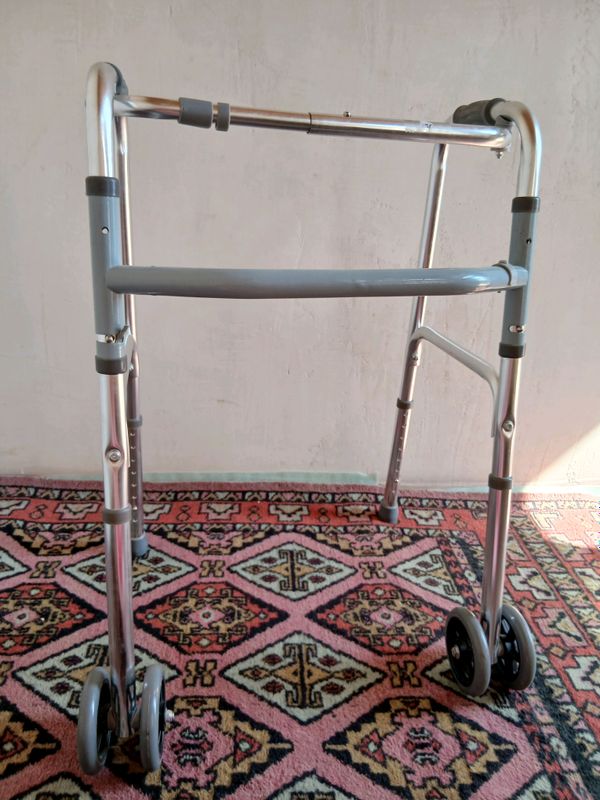 Nogiron aravachasi Nogiron aravachasi